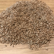 IMG0801