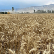 WhatsApp-Image-2025-02-25-at-090622-1