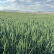 WhatsApp-Image-2025-02-25-at-090622