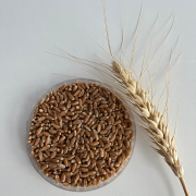 WhatsApp-Image-2025-02-25-at-090623