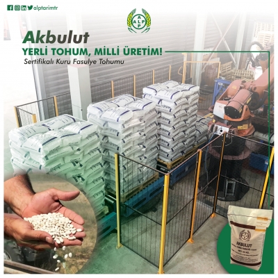 AKBULUT SERTİFİKALI KURU FAS&Uuml;LYE TOHUMLARIMIZIN SEVKİYATI HIZLA DEVAM EDİYOR